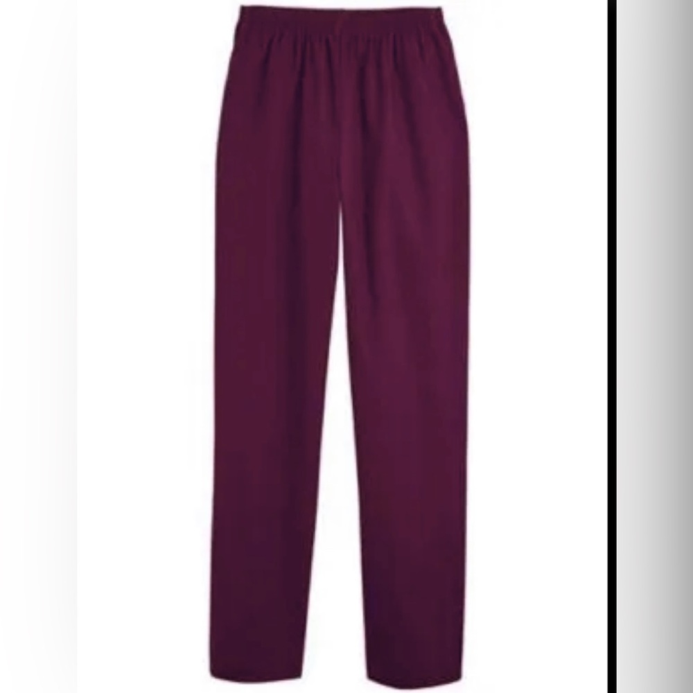 Alfred Dunner Classic Knit Pull-on Pants - Plum - Size 14P